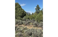 Tbd Hwy 64/84, Tierra Amarilla, NM 87575