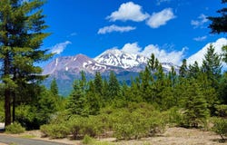 3137 Summit Dr, Mt Shasta, CA 96067-2429