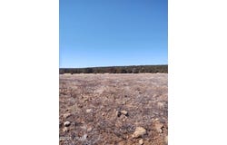 Tbd Show Low Pines, Concho, AZ 85924