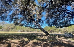 Dry Creek Rd, Barksdale, TX 78828
