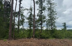 FM 777, Jasper, TX 75951