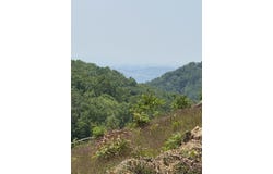 OFF Black Valley (459 acres) Road, Sneedville, TN 37869