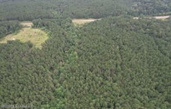 2684 Ms 33, Crosby, MS 39633