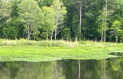 4105 MCGOWANS FERRY ROAD, CHILDERSBURG, AL 35044
