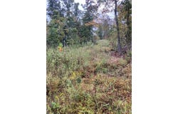 163 Madison CR 410, Fredericktown, MO 63645