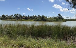 Palm Dr lot: 14, Bayview, TX 78566