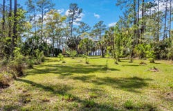 River Drive, Panacea, FL 32346