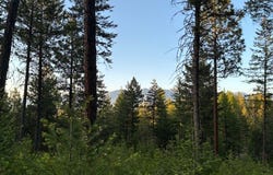 148 Tiny Acres Trail, Rexford, MT 59930