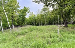 1157 Tierney, Marquette, MI 49855
