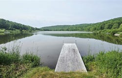 81 Lake Shore Drive, Kortright, NY 13842