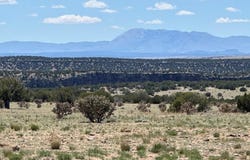 169 Tyrone Hills, Walsenburg, CO 81089