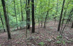 Tract 1 NC 7540, Ozone, AR 72854