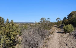 35 ALTA Court, Edgewood, NM 87015