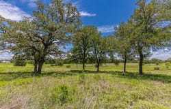 LOT 8 Mill Creek Ranch Road, New Ulm, TX 78950