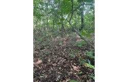 Buckeye Lane lot: 2, Wilder, TN 38589