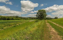 Lot 1 17.8 Acres Disch Road, Monticello, WI 53570