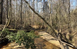 Railroad Lane, Pinola, MS 39149