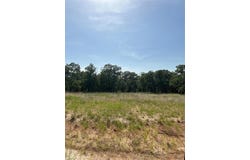 00 Stallion Meadows, Perrin, TX 76486