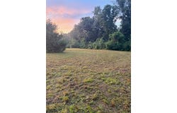 0 Bruner Pond Rd, Ashford, AL 36312