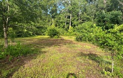 103 Creekside Ln, Cairo, GA 39828