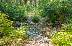 8XX NANCY CREEK RD, KETTLE FALLS, WA 99141