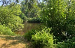 17564 FOREST RD 1285, Glidden, WI 54527