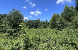 Magnolia Springs Boulevard, Florence, MS 39073