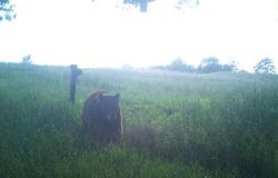 438 Calico Road, Clinton, AR 72031