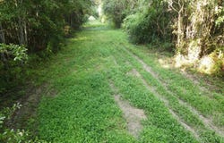 Burnt Bridge Road, Ellisville, MS 39437