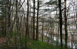 TBD E HIGHLAND TPKE, MONTEREY, VA 24465