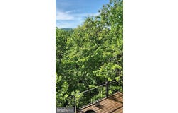 227 HAINES DRIVE, CAPON BRIDGE, WV 26711