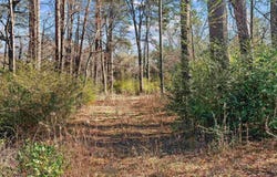 2808 Carroll Ave, Kilgore, TX 75662