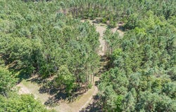 7.75 Acres Scout Road, Mears, MI 49436