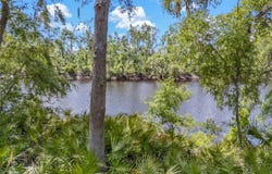 24042 114TH CIRCLE, LIVE OAK, FL 32060