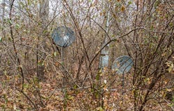 78 Winesap Road, Reelsville, IN 46171