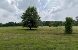 Private Road 7407, Brownsboro, TX 75756