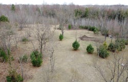 1837 9 Mile Road, Sears, MI 49679