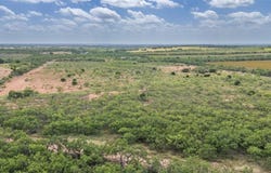 Tbd 40 acres FM 1176, Santa Anna, TX 76878