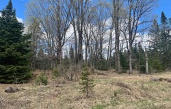 ON POCIASK RD, Butternut, WI 54514