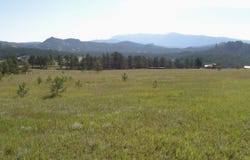 TBD County Road 12, Florissant, CO 80816