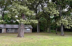 411 Senko Rd, Griffithville, AR 72060