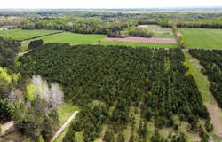 XXXXX County Rd 104, Barnum, MN 55707-8824