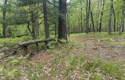 9846 W Ox Path Street, Baldwin, MI 49304