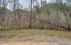 Lot 121 Creek Hollow Way, Sevierville, TN 37876