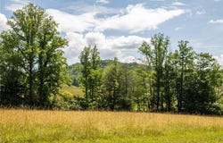 Shingle Gap Road, Purlear, NC 28665