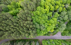 9552a SNOWSHOE RD, Presque Isle, WI 54557