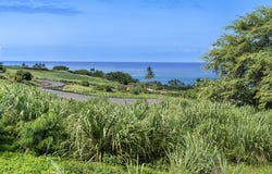 81-6624 HIAAIONO PL, Kealakekua, HI 96750