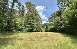 3 Highway 483, Morton, MS 39117