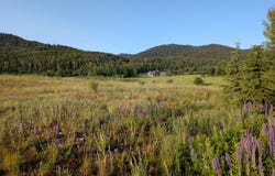 57 WARM CREEK Lane, Victor, ID 83455