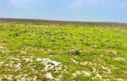 Tbd Tract 13 County Road 210, Eagle Lake, TX 77434